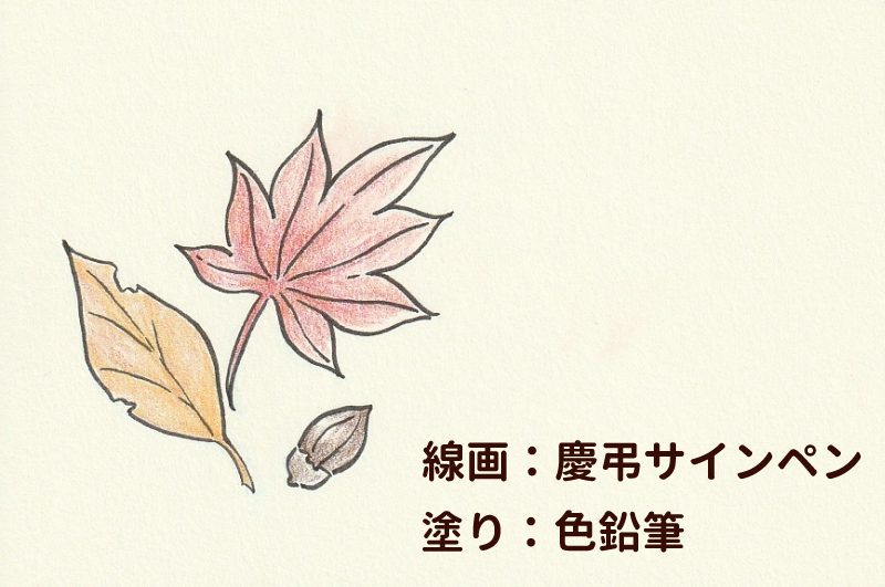 ぺんてる慶弔サインペンで絵手紙